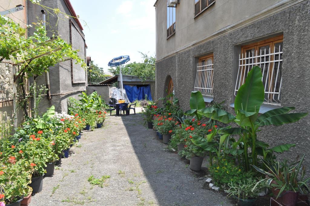 Guest House Cico Telavi Exterior photo